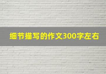 细节描写的作文300字左右