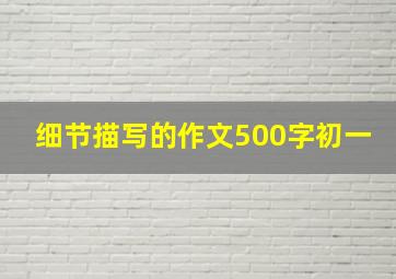 细节描写的作文500字初一