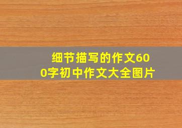 细节描写的作文600字初中作文大全图片