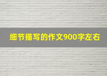 细节描写的作文900字左右