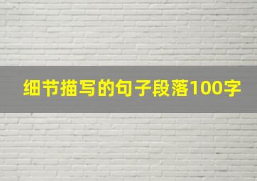 细节描写的句子段落100字