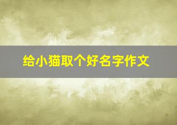 给小猫取个好名字作文