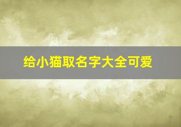 给小猫取名字大全可爱