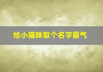 给小猫咪取个名字霸气