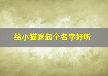 给小猫咪起个名字好听