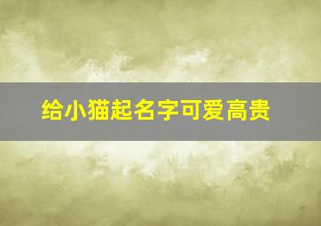 给小猫起名字可爱高贵