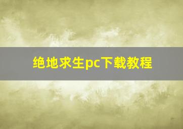 绝地求生pc下载教程