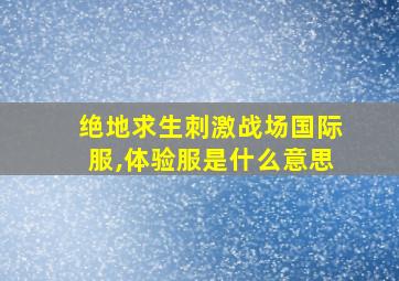 绝地求生刺激战场国际服,体验服是什么意思