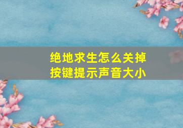 绝地求生怎么关掉按键提示声音大小