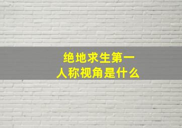 绝地求生第一人称视角是什么