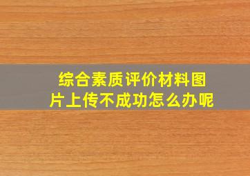 综合素质评价材料图片上传不成功怎么办呢