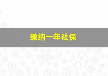 缴纳一年社保