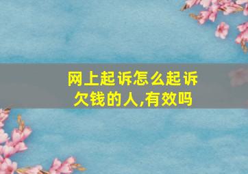 网上起诉怎么起诉欠钱的人,有效吗