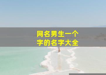 网名男生一个字的名字大全