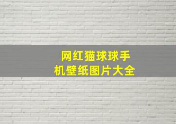 网红猫球球手机壁纸图片大全