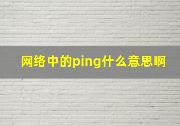 网络中的ping什么意思啊