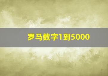 罗马数字1到5000