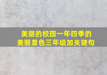 美丽的校园一年四季的美丽景色三年级加关键句