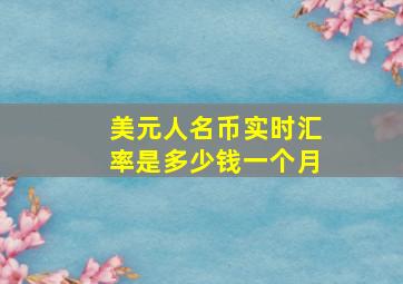 美元人名币实时汇率是多少钱一个月