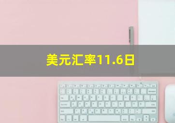 美元汇率11.6日