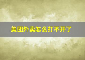 美团外卖怎么打不开了