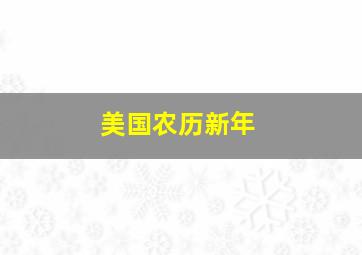 美国农历新年