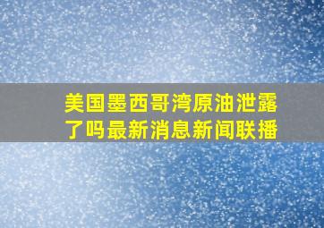 美国墨西哥湾原油泄露了吗最新消息新闻联播