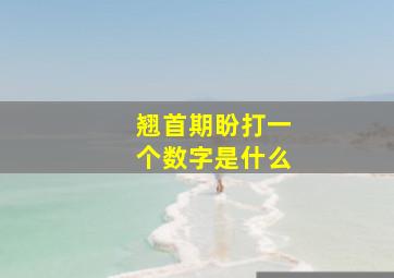 翘首期盼打一个数字是什么