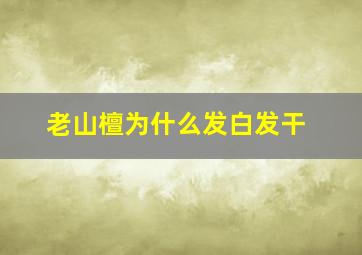 老山檀为什么发白发干