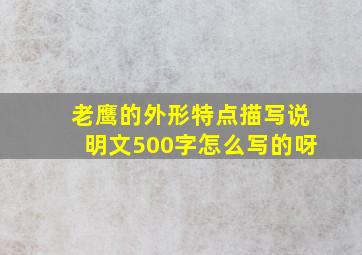 老鹰的外形特点描写说明文500字怎么写的呀