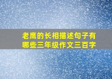 老鹰的长相描述句子有哪些三年级作文三百字