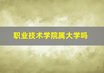 职业技术学院属大学吗