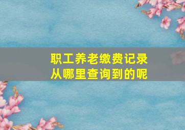 职工养老缴费记录从哪里查询到的呢