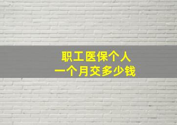 职工医保个人一个月交多少钱