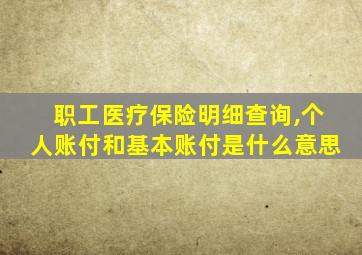 职工医疗保险明细查询,个人账付和基本账付是什么意思