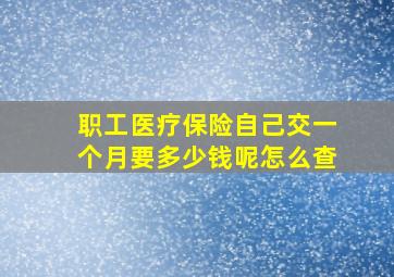 职工医疗保险自己交一个月要多少钱呢怎么查