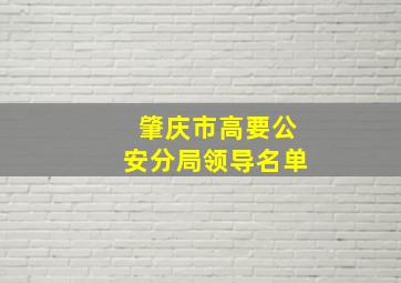 肇庆市高要公安分局领导名单