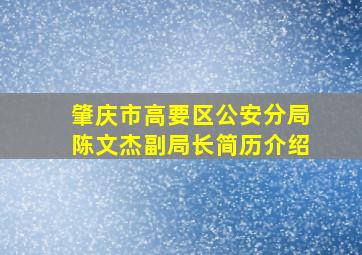 肇庆市高要区公安分局陈文杰副局长简历介绍