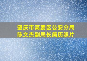 肇庆市高要区公安分局陈文杰副局长简历照片