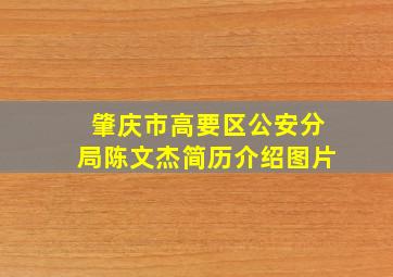 肇庆市高要区公安分局陈文杰简历介绍图片