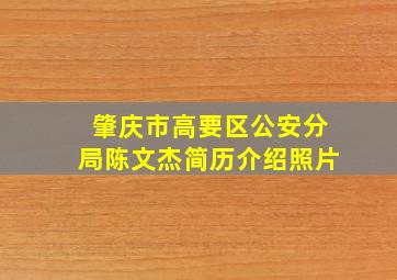 肇庆市高要区公安分局陈文杰简历介绍照片