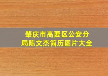 肇庆市高要区公安分局陈文杰简历图片大全