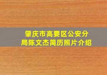 肇庆市高要区公安分局陈文杰简历照片介绍