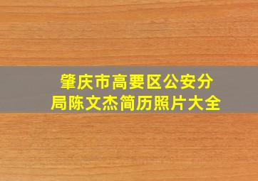 肇庆市高要区公安分局陈文杰简历照片大全