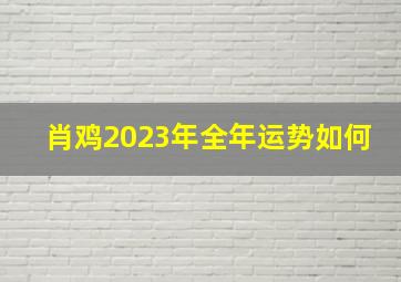 肖鸡2023年全年运势如何