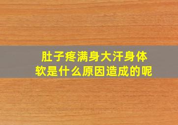 肚子疼满身大汗身体软是什么原因造成的呢