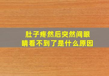 肚子疼然后突然间眼睛看不到了是什么原因