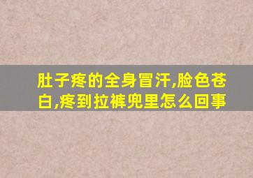 肚子疼的全身冒汗,脸色苍白,疼到拉裤兜里怎么回事