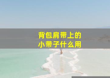 背包肩带上的小带子什么用