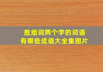 胜组词两个字的词语有哪些成语大全集图片